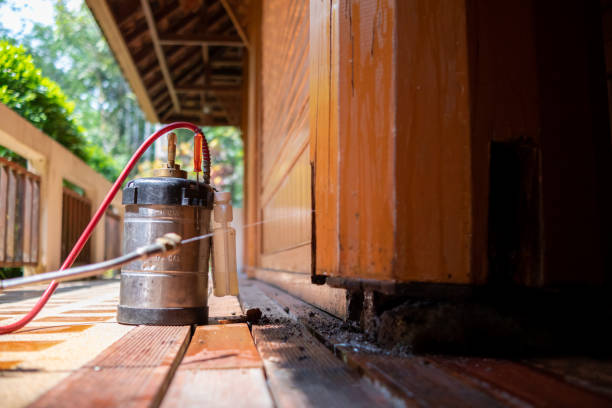 Best Termite Control Services  in Snoqualmie, WA